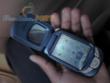      Palm OS Garnet 5.3