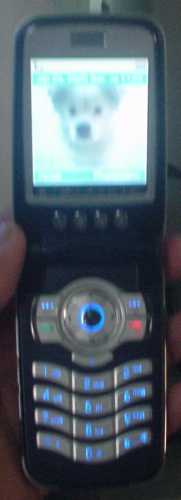   Palm OS  Samsung i530