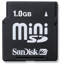SanDisk  1 Gb   miniSD