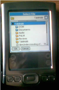   Files  Palm Tunsten T3  E2