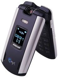 Samsung SCH-W399     GPS-